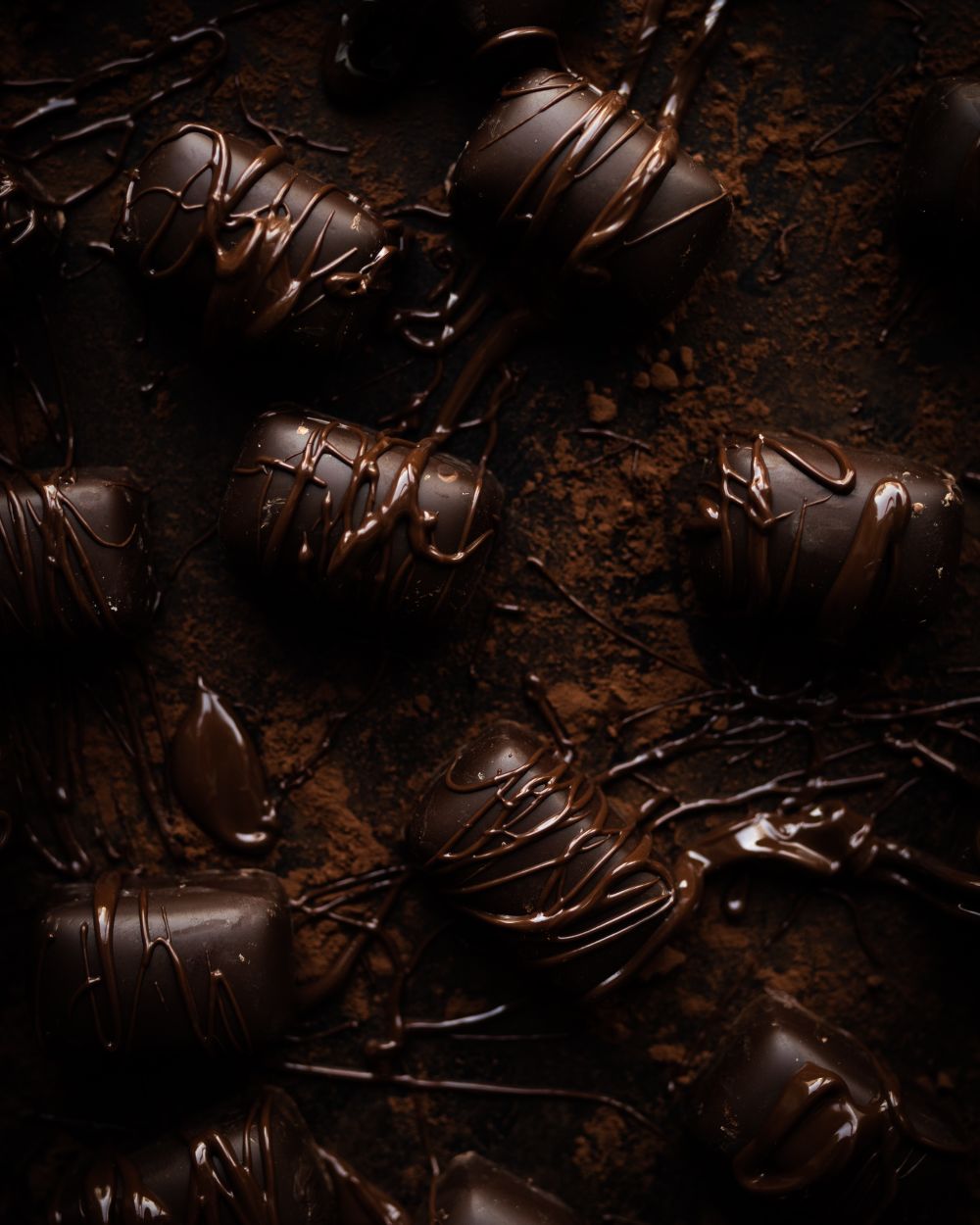 Chocolaterie artisanale — scénarios de fidélisation Fylo