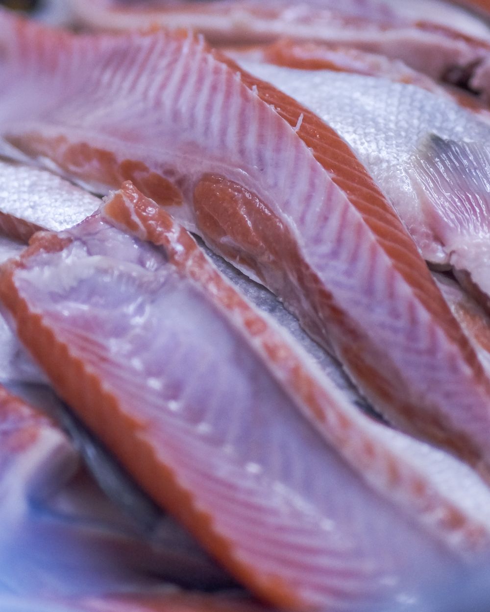 Poissonnerie — scénarios de fidélisation Fylo